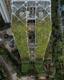 Green architecture in Singapore 