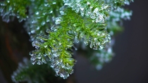 Green Ice Crystal 