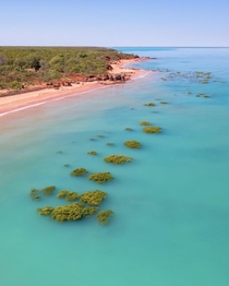 Green mangroves being swallowed at high tide by the turquoise waters of Broome WA Australia 