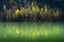 Green reflections in the Dolomites A little lake on the side of the road going to Tre Cime Veneto Region Italy 