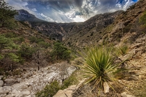 Guadalupe Mountains NP Devils Hall 