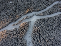 Had a great time exploring with my drone this winter Whistler BC Canada 