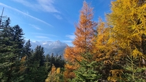 Had this view today while hiking in autumn Austria 