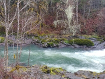 Had to share the incredible contrasting colors of the Santiam River in Sweet Home Oregon OC 