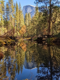 Half Dome reflecting in a small pond Yosemite CA 