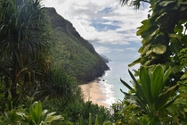 Hanakapiai Beach of the Na Pali Coast - Kauai HI  x