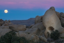 Happy Halloween from Skull Rock in Joshua Tree National Park featuring a rare Blue Moon 