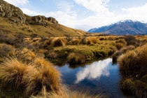 Harakere National Park New Zealand 
