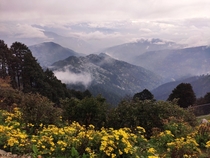 Hatu peak Himachal Pradesh India  x