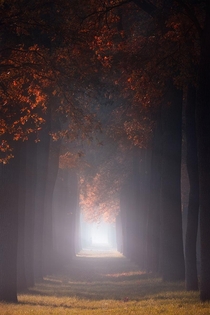 Hazy autumn morning on the countryside Flanders Belgium 