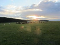 Herders home Khovsgol Mongolia