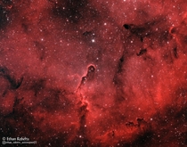 Here is a  hour exposure I took of the Elephants Trunk Nebula