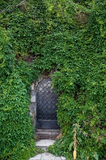 Hidden entrance to the castle OC