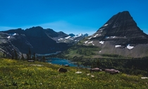 Hidden Lake Glacier National Park MT 