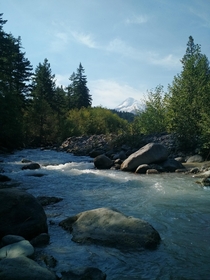 Hidden stream with Mt Hood in the background Oregon 