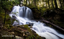 Hidden Waterfall - Ancient Cedar Trail in Whistler Canada 