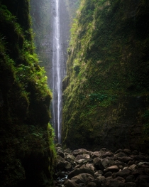 Hidden Waterfall Canyon in Hawaii 