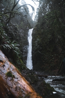 Hidden waterfall in the rainforests of Vancouver Island BC OC x