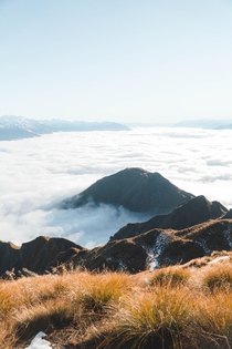 High above the clouds on Roys Peak New Zealand  Instagram markcmcgovern
