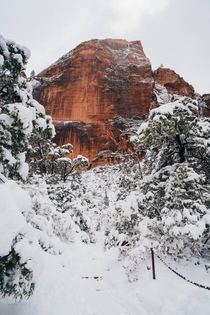 Hike at Zion National Park - 