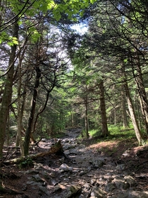 Hike up Mount GreyLock near Williamstown Massachusetts 