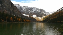 Hiked up to Taylor Lake to see some larches yesterday Taylor Lake Banff Alberta 