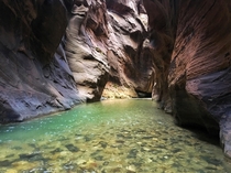 Hiking in The Narrows Zion NP Utah 