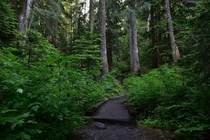 Hiking in Washington State Mt Pilchuck trail OC x