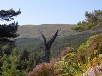 Hiking Trail in Scottish Highlands 