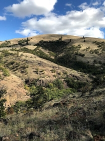 Hill with Cloud Shadows near Gurley Canyon Oregon 