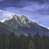 Himalayan pine forest and snow-capped peaks in Kashmir 