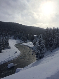 Hoback River in the Teton Mountain Range WY taken with my iPhone on a long journey into the woods 