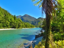 Hollyford River Southland New Zealand 