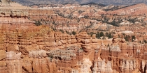 Hoodoos Bryce Canyon 