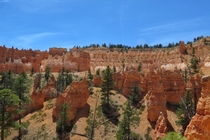 Hoodoos in Bryce Canyon NP 