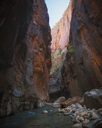 Hope the Narrows isnt getting stale here but heres Looking Up in the Narrows 