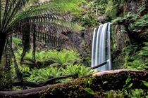 Hopetoun Falls Otway NP Victoria Australia 