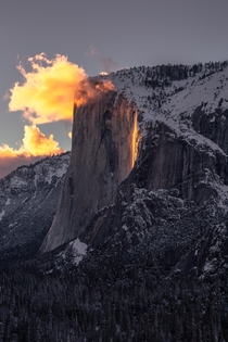 Horsetail Fall at sunset becoming the illustrious Firefall Yosemite National Park 