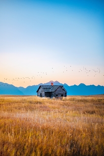 House in Montana Photo credit to Steve Cordes
