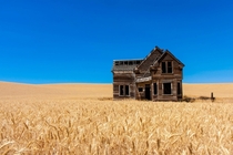 House in the middle of a wheat field  Photography by Jeff Edes
