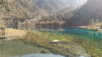How about another A forest preserved in glass Colorful Lake JiuZhai Valley China 