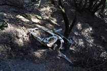 How did an Austin-Healey  get abandoned in Big Basin Redwoods State Park 