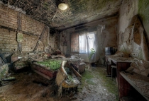 How the greenery adds to the dilapidated look of this room