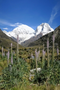 Huascaran the Tallest Peak in Peru 