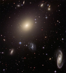 Hubble Illuminates Cluster of Diverse Galaxies - Abell S 