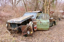 Huge car collection left to rot near Chicago 