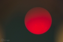 I attempted to shoot the Sun in H-Alpha through the eyepiece on one of our solar telescopes 