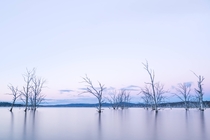 I bought a camera and have hit the road around Tasmania teaching myself photography on the way This is Arthurs Lake 