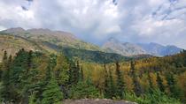I broke off from my group to hike to the top of a hill just outside Anchorage AK and it was worth it 