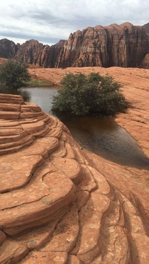 I came across this spectacular view on a spring hike in Snow Canyon near St George Utah Standing water here is very rare amp will dry up soon I just got lucky 